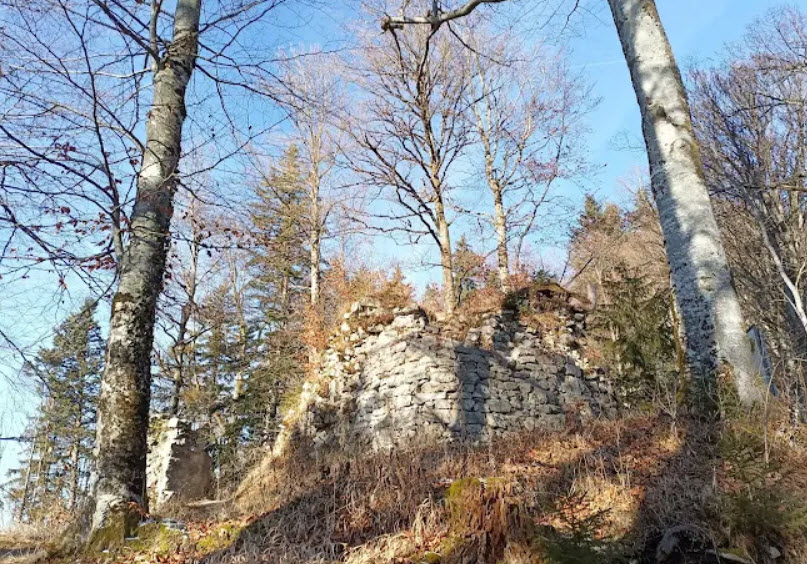 Ruine Hohenburg, Germany